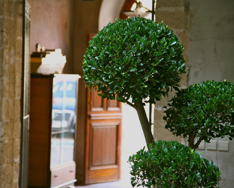 Hotel L'Iglesia アル・ジャディーダ エクステリア 写真